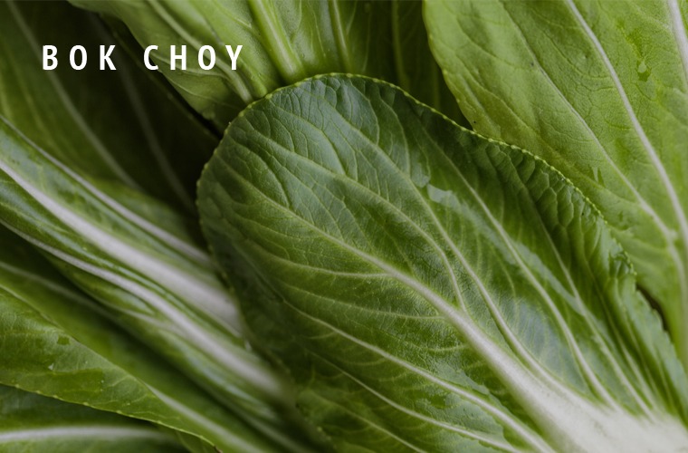 Bok-Choy-Greens-Guide