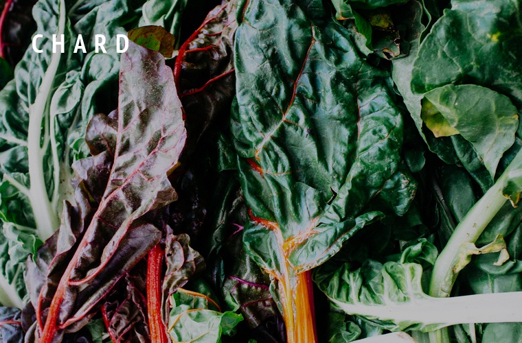 Chard-Greens-Guide