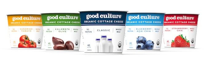 Good Culture_Allflavors_rev copy