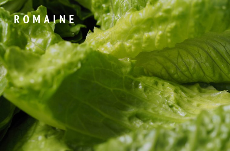 Romaine-Greens-Guide