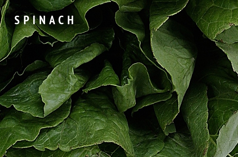 Spinach-Greens-Guide