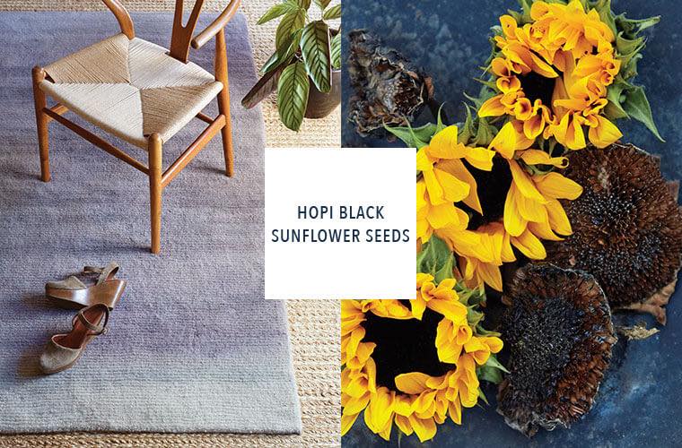 Sunflower-Seeds