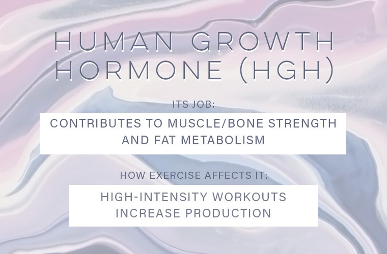 exercise-affects-your-hormones-hgh