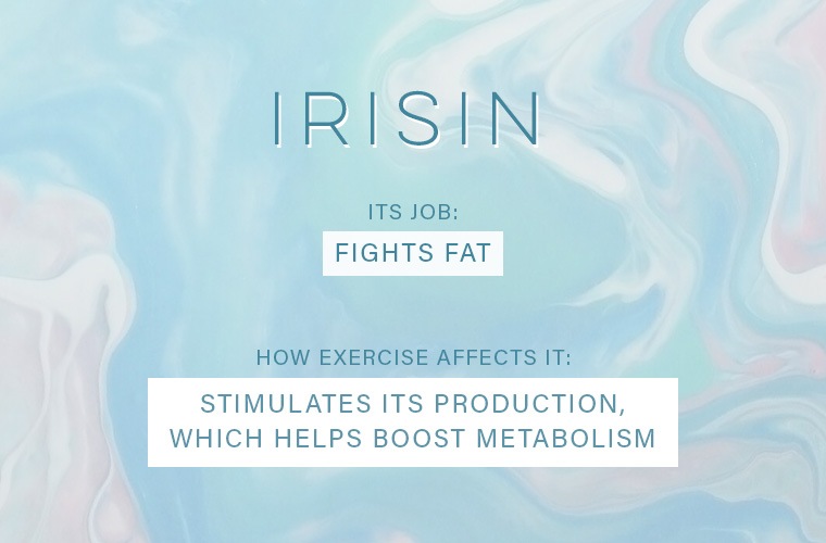 exercise-affects-your-hormones-irisin