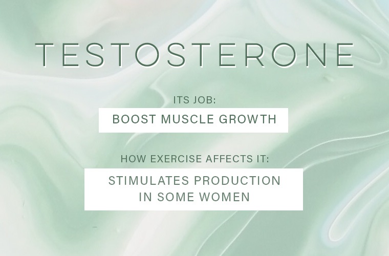exercise-affects-your-hormones-testosterone