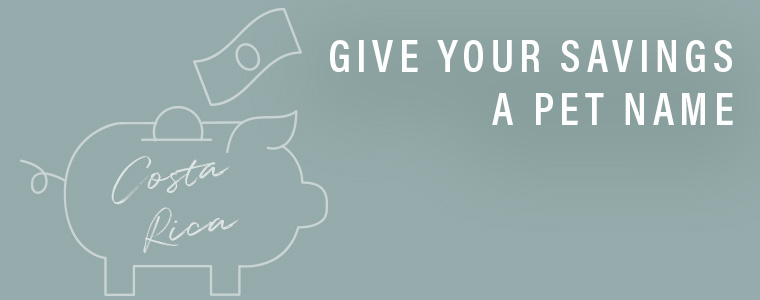 Financial reset program