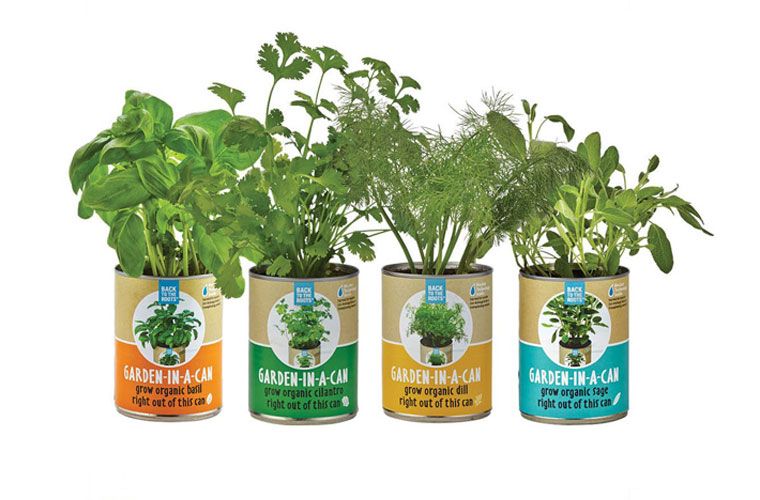 eco-conscious gift guide