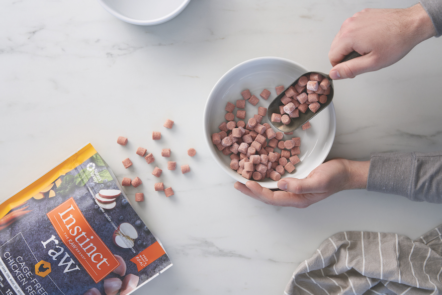what to feed your dog