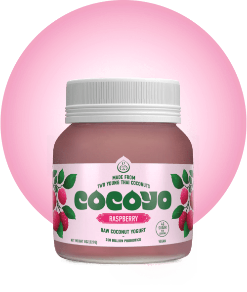 GT’s CocoYO Pure Living Coconut Yogurt, Raspberry