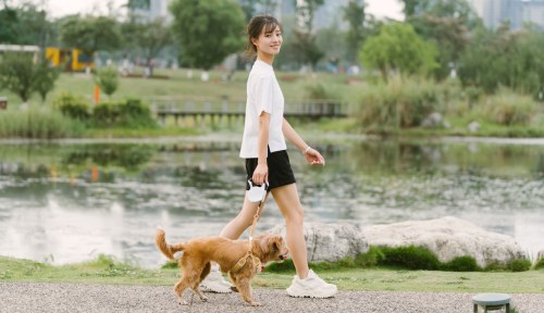 A Chinese woman wearing a white T-shirt walks her dog in the park in comfortable walking shoes.
