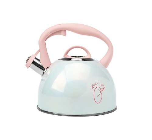 Whistling Tea Kettle