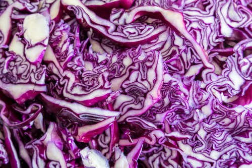 Close-up of sliced purple cabbage,