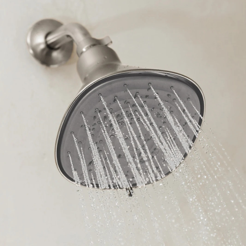 canopy filtered showerhead in platinum