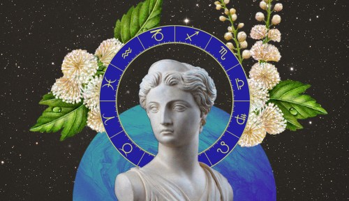 Greek Bust against florals and the zodiac wheel
