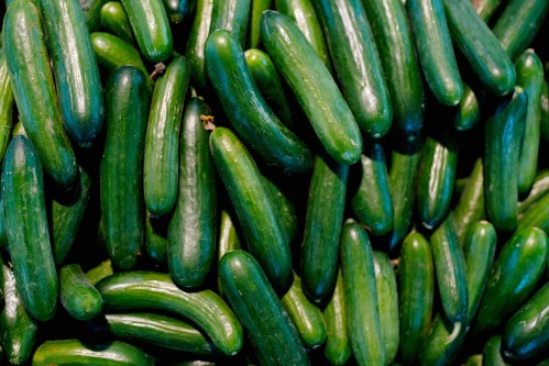 Close up of many green cucumbers on shelf in supermarket.
