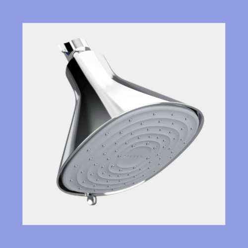 Filtered showerhead