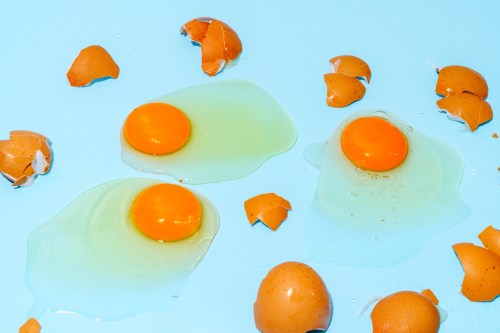 High angle view of fresh broken eggs on a blue background