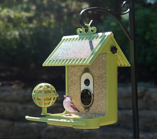 Hello Birdie Solar Roof Smart Bird Feeder and Accessories
